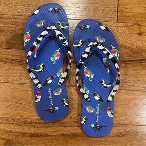 Vera Bradley Flip Flops
Sandals Size L 9/10 Blue
Mini Tody Birds Resort